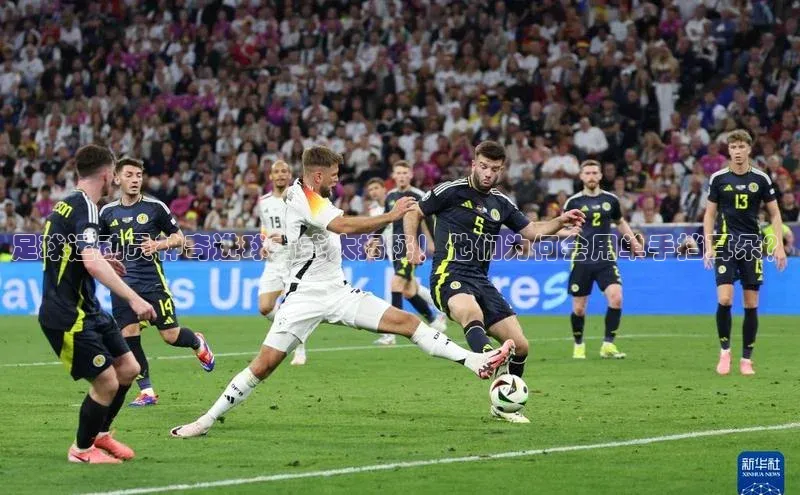 头号玩家唯一官网官方版百度翻译App