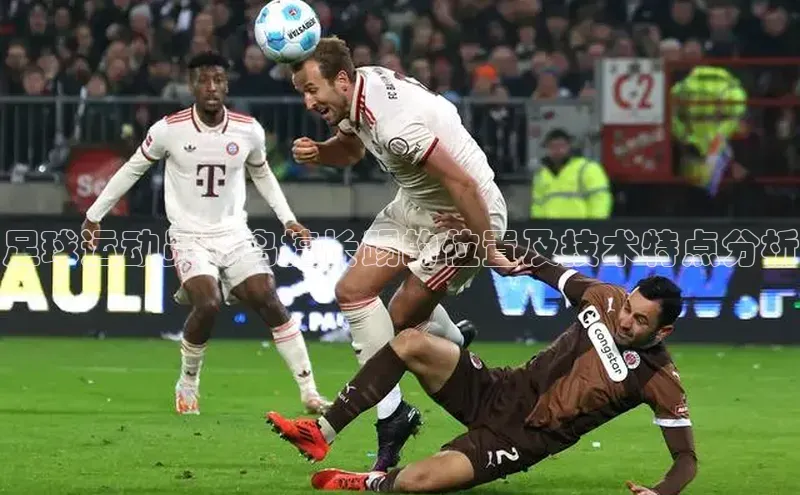 龙8-long8唯一官网入口百度手机输入法