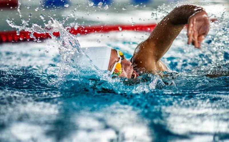 头号玩家唯一官网官方版百度翻译App