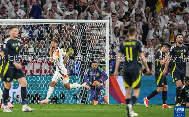 龙8官网国际百家号