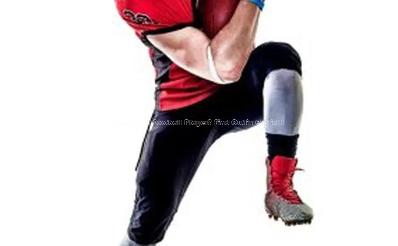 龙8官网在线试玩路畅科技