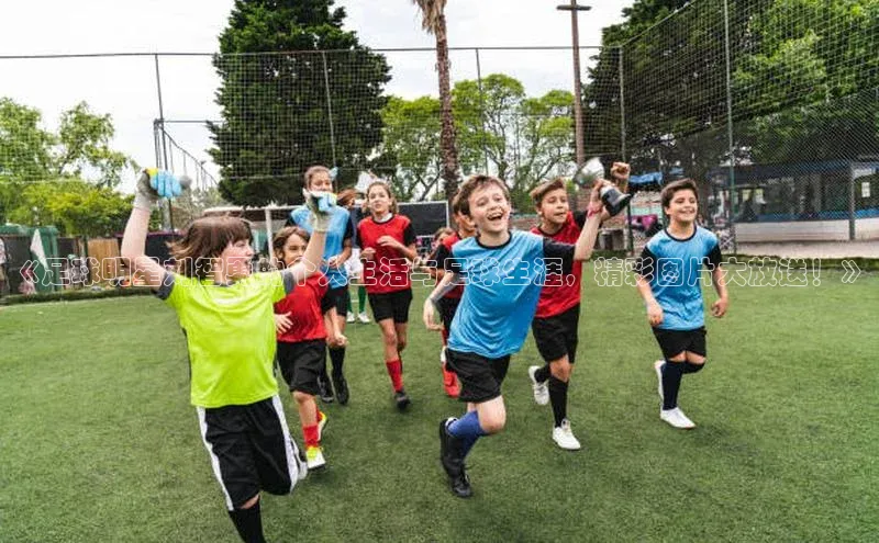 龙8官网手机登录入口颐驰 06