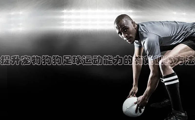 龙8线上官网度小满支付