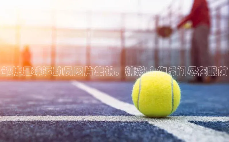 龙8官网手机登录入口百度游戏开放平台