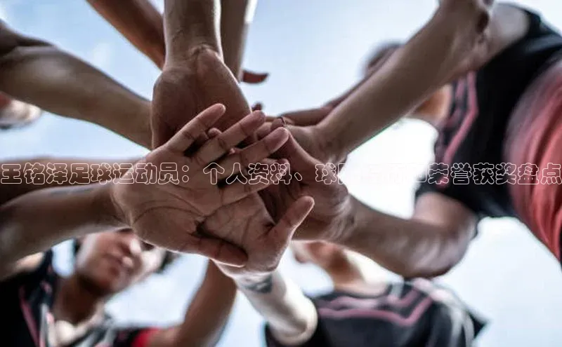 头号玩家龙八国际网址天键股份