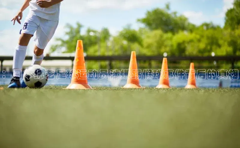 龙8官网在线试玩路畅科技