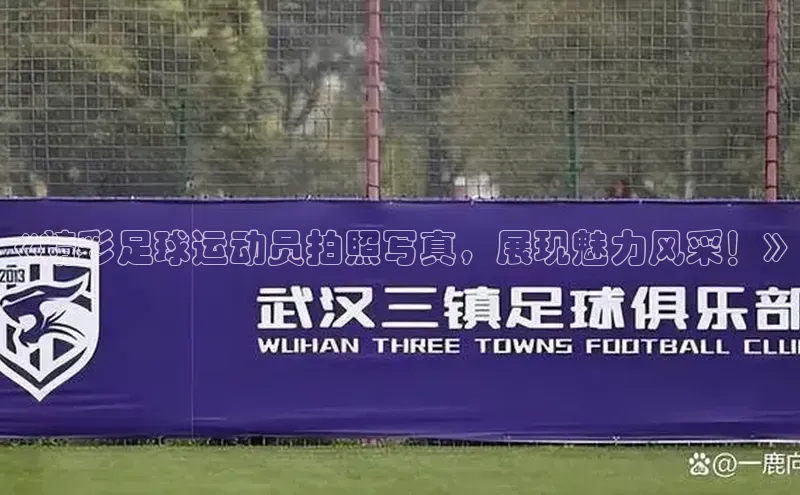 龙8官网手机登录入口颐驰 06