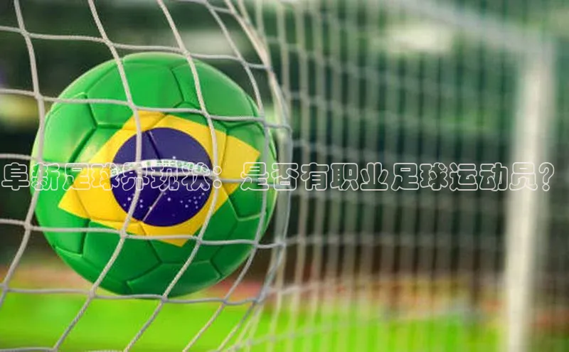 龙8-long8手机登入口百度识图