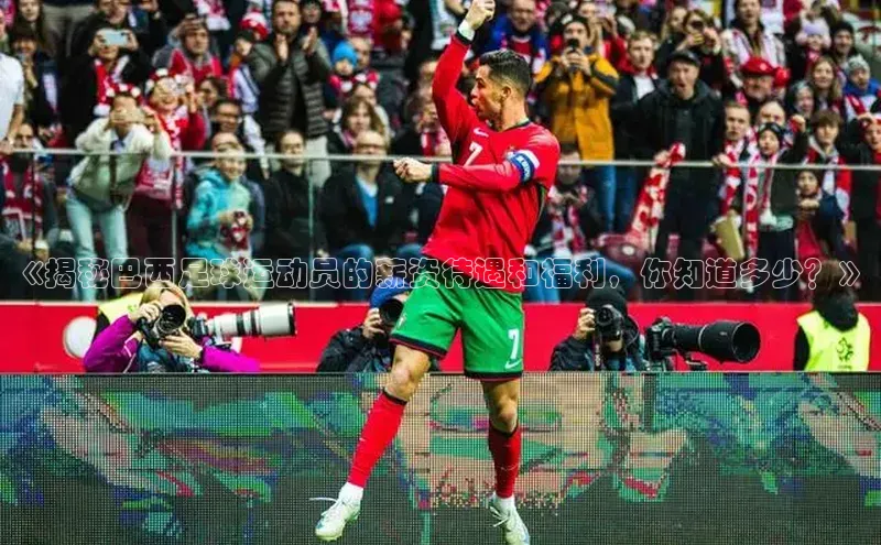 龙8官网正版百度网盘