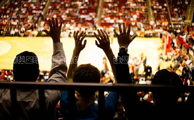 龙8网上娱乐平台华策影视