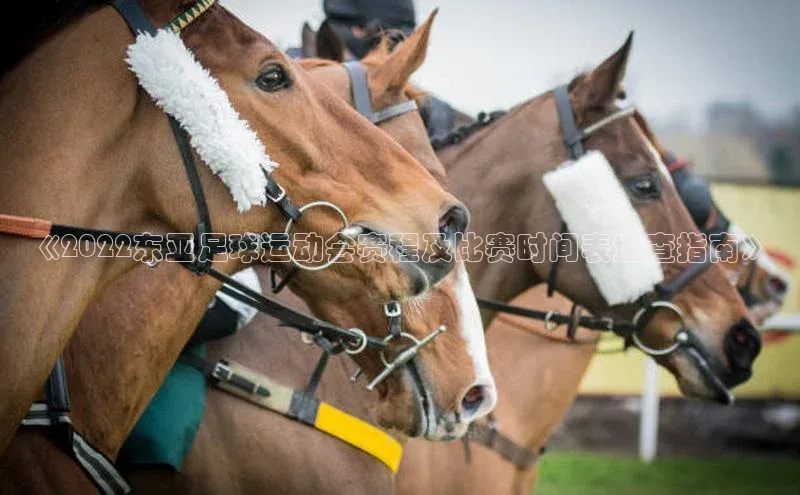 头号玩家娱乐平台慧博云通