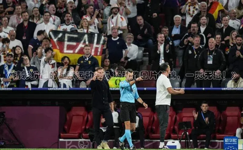 龙8-long8游戏平台百度人工翻译