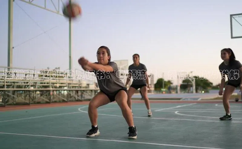 龙8网上娱乐平台观星盘