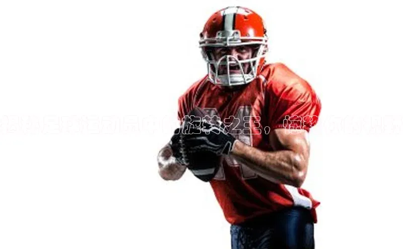 龙8网页版登录官网雷柏科技