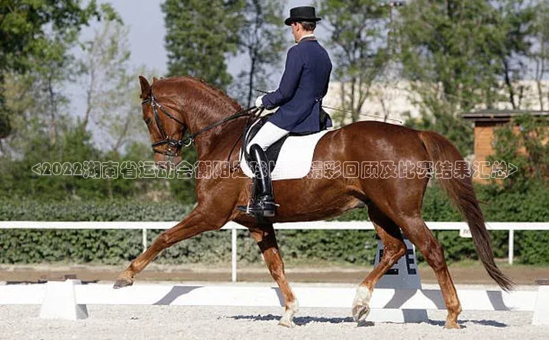 龙8网上娱乐平台华策影视