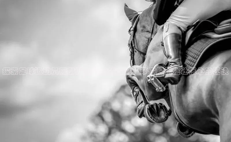 long8唯一中国官方网站阿里尔公司