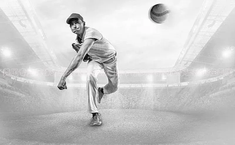 龙8-long8官网登录美团