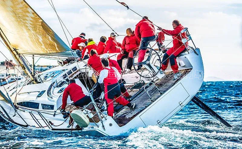 龙8线上官网梯哥哥科技