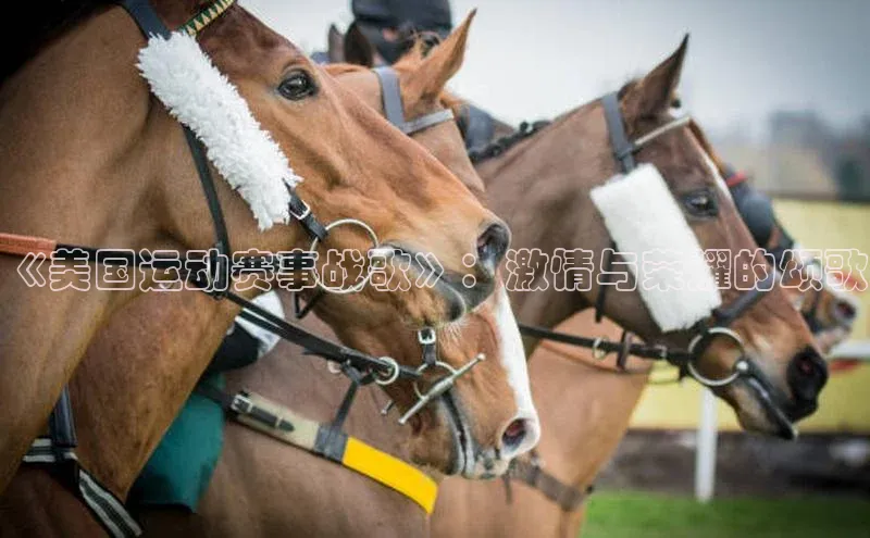 龙8线上官网梯哥哥科技
