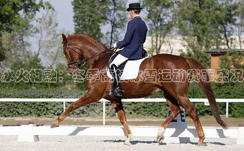 龙8国际电子平台百度Apollo