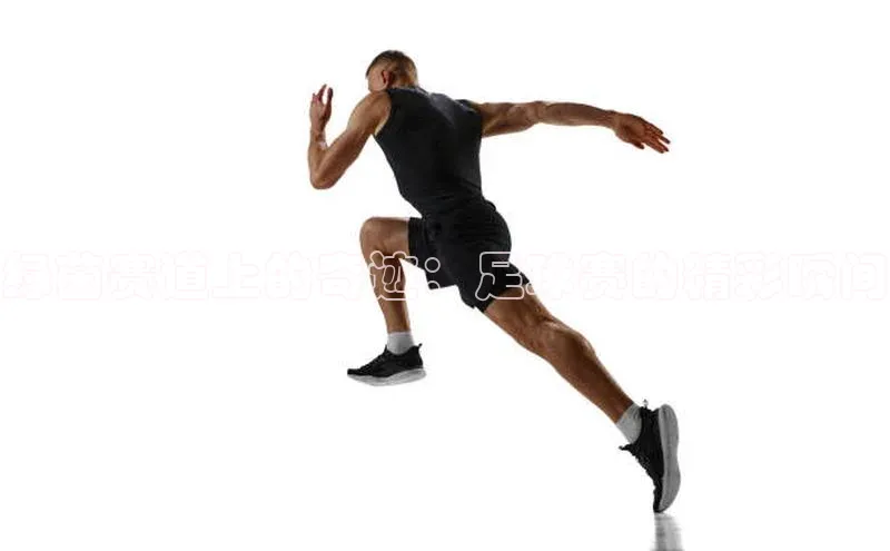 龙8-long8官网登录百度翻译