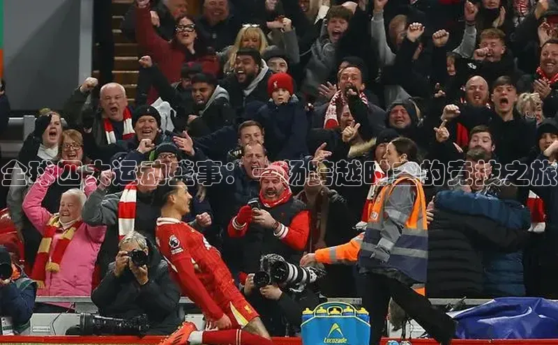 龙八国际app官方下载