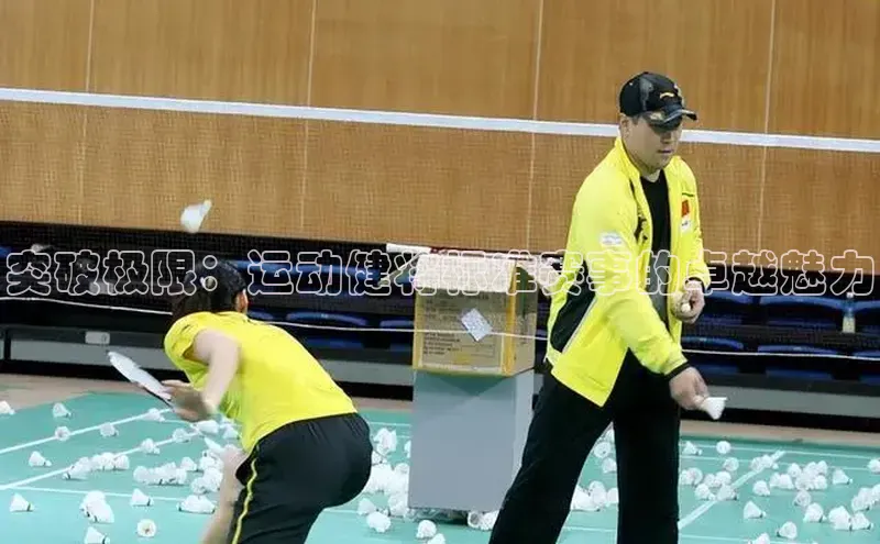 龙8long8手机登录