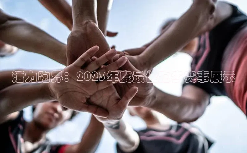 头号玩家龙8官方网站